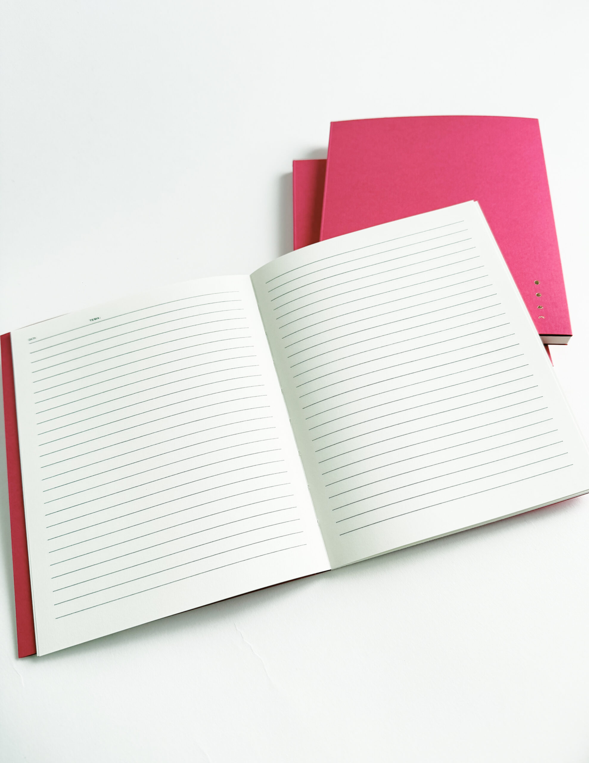 Lipstick linijų užrašinė - Image 2