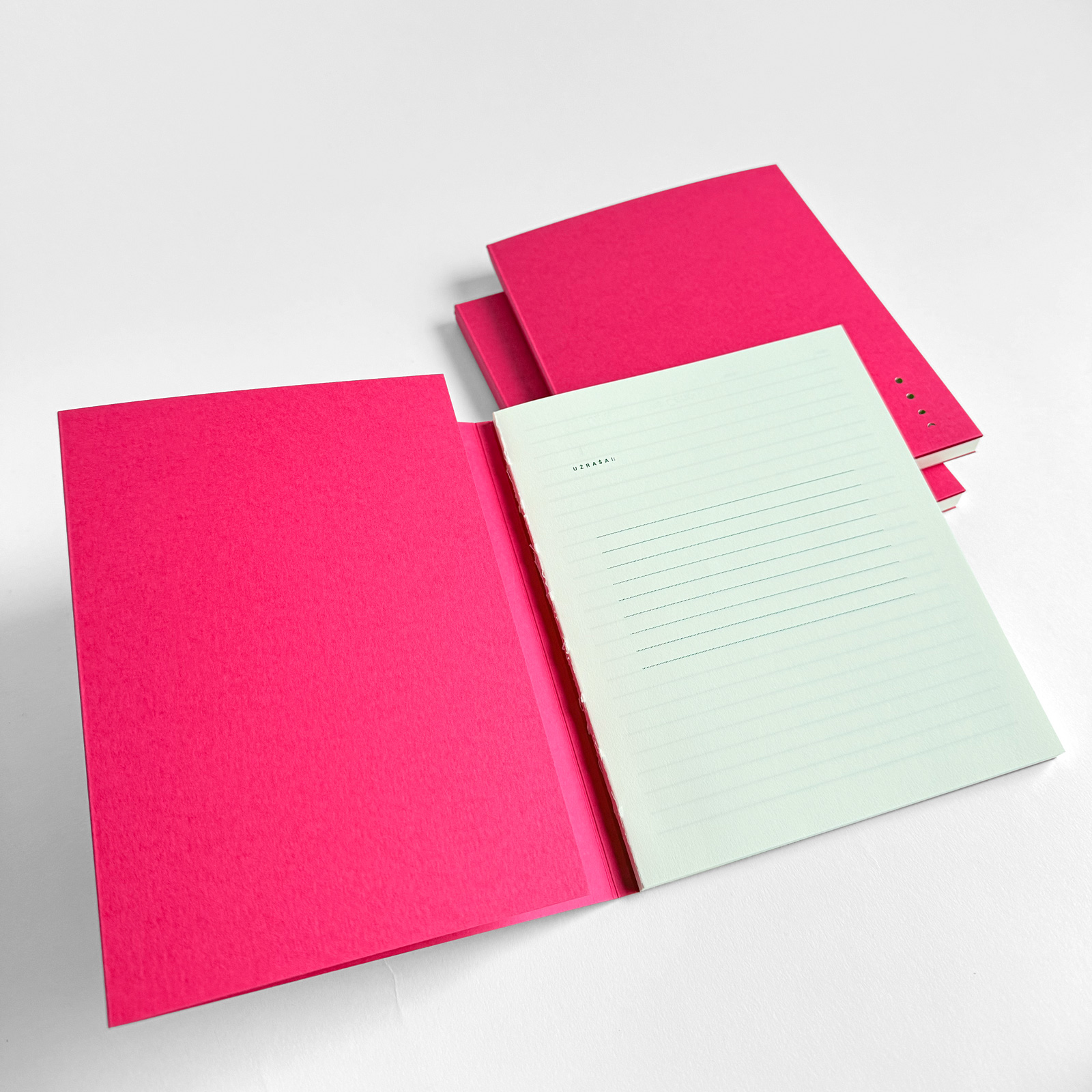 Lipstick linijų užrašinė - Image 5