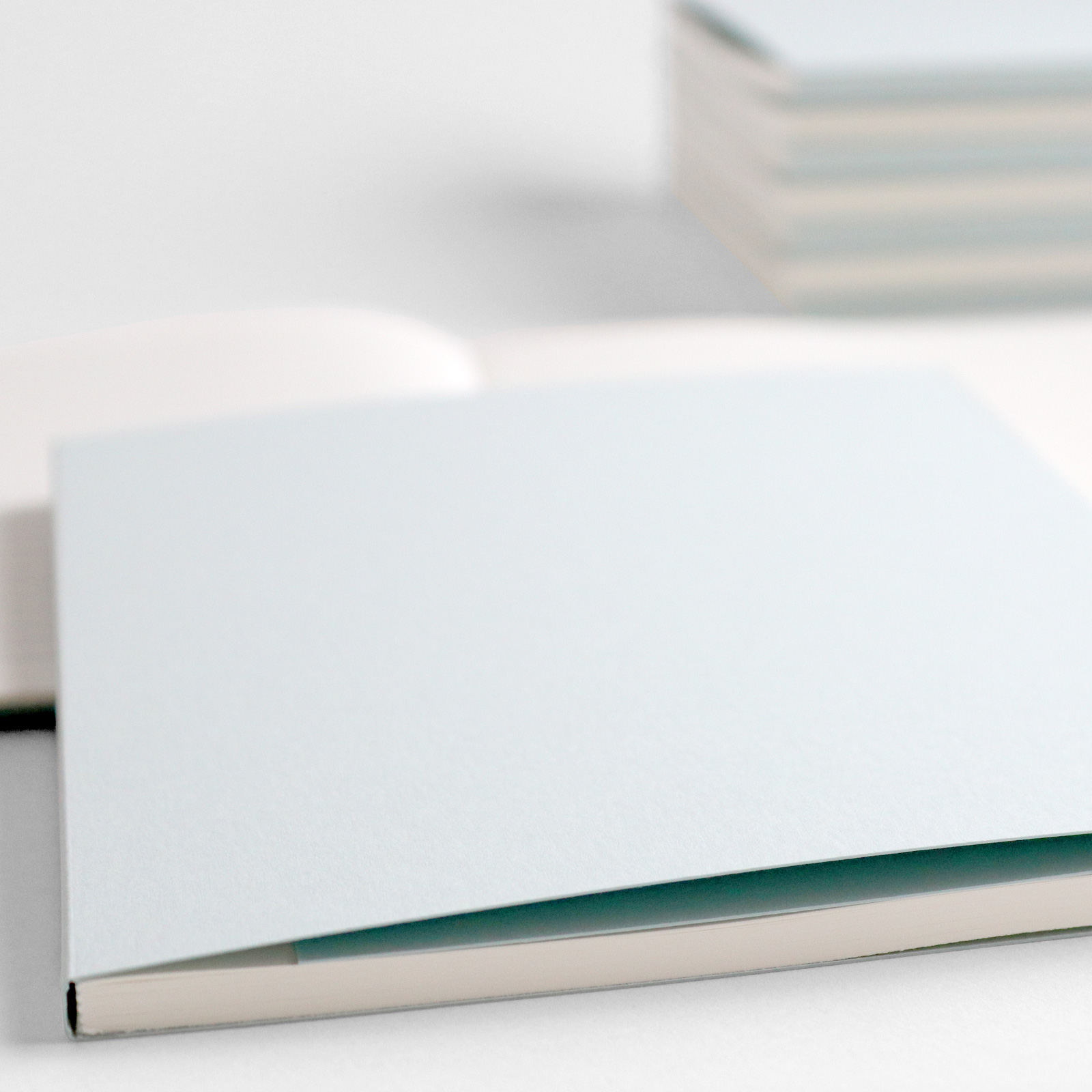 Mint taškelių planuoklis - Image 2